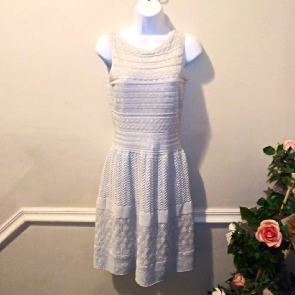 Lauren Ralph Lauren Sparkly Silver Crocheted/Knit Special Occasion Dress